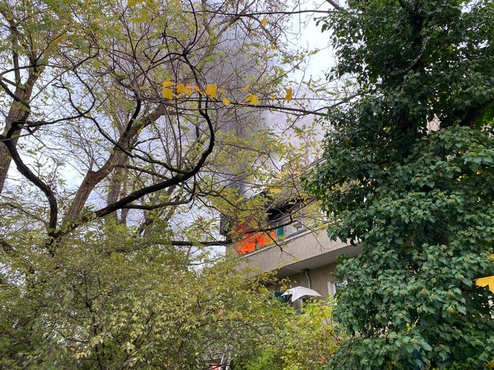 Fw Dresden Wohnung Steht In Vollbrand Feuerwehr Rettet Personen