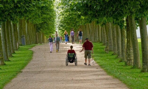 ++ Sperrfrist 20.10.2024, 07.00 Uhr | „Allee des Jahres 2024“ in ...