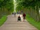 ++ Sperrfrist 20.10.2024, 07.00 Uhr | „Allee des Jahres 2024“ in ...