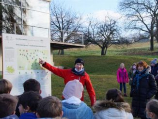 Gemeinsam biologische Vielfalt in Reichelsheim sichtbar gemacht