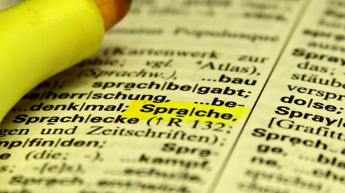 Wörterbuch, über dts Nachrichtenagentur