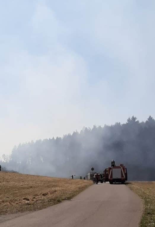 FW Konstanz: Flächenbrand