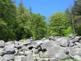 30 Geotope³: Deutschlands schönste Geotope – das Felsenmeer im Lautertal ist eines davon