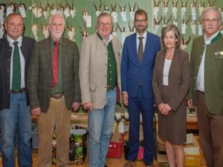 Gesunder Wald ist ein wertvolles Gut für die Gesellschaft