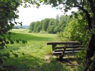 Entdeckungen im beschaulichen Dreiseetal