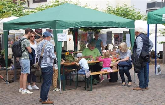 244b_Infostand Waldbienen