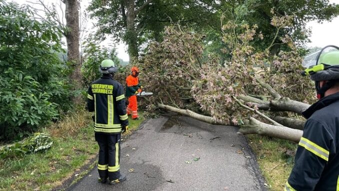 FW-Schermbeck: Baum auf Fahrbahn