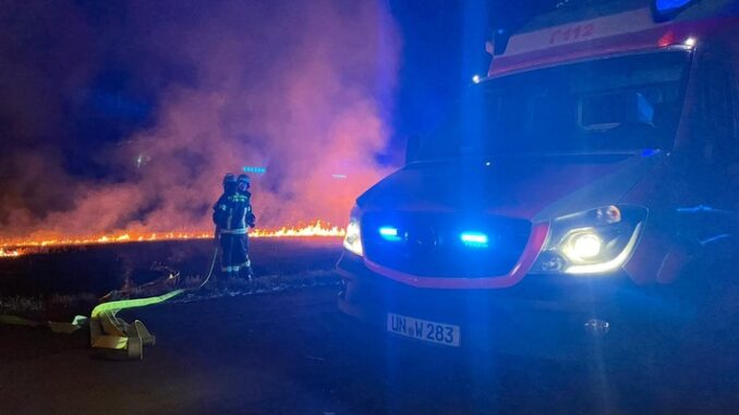 FW-WRN: FEUER_2 - LZ1 - LG4 - brennt Feld
