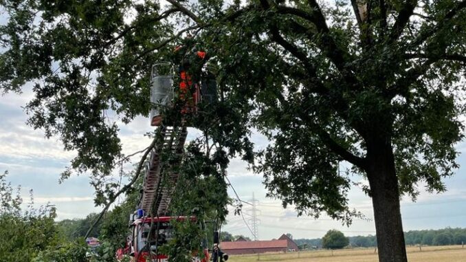 FW-Schermbeck: Sturmschaden