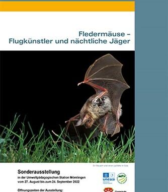 Plakat_Fledermausausstellung_Moemlingen