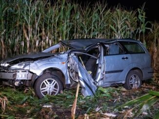 FW-SE: Tödlicher Verkehrsunfall auf der Bundesstraße 206