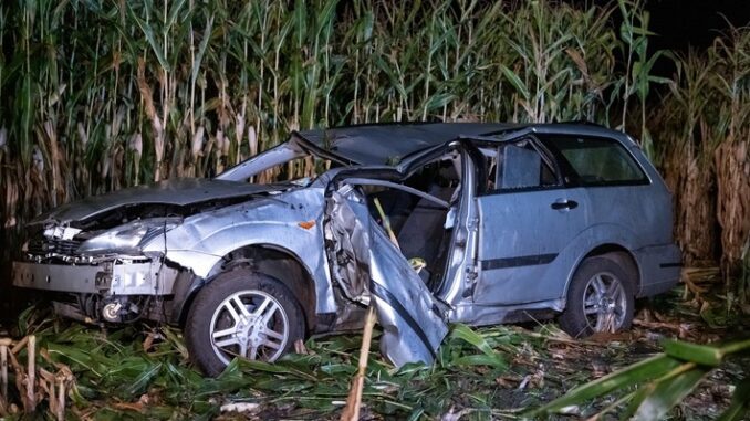 FW-SE: Tödlicher Verkehrsunfall auf der Bundesstraße 206
