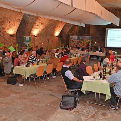 Abstimmung bei den Wahlen in der Mitgliederversammlung des Tourismusverbandes "Liebliches Taubertal": Sven Dell wurde offiziell als Geschäftsführer im Amt bestätigt, Frank Bundschu ist nun Beisitzer.