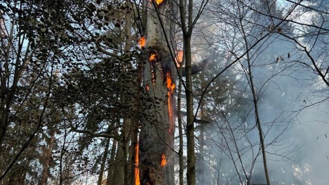 FW Dresden: Informationen zum Einsatzgeschehen der Feuerwehr Dresden vom 30. November 2022