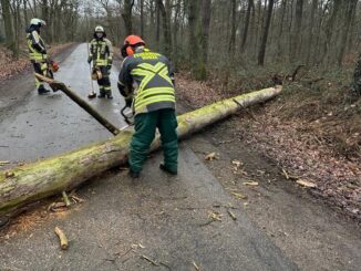 FW Hünxe: Baum auf Fahrbahn