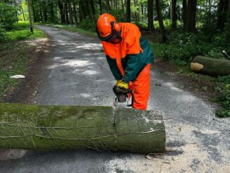 FW-Schermbeck: Baum auf Stromleitung