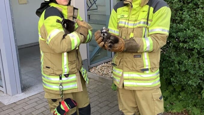 FW Dresden: Informationen zum Einsatzgeschehen der Feuerwehr Dresden vom 12. Juni 2023