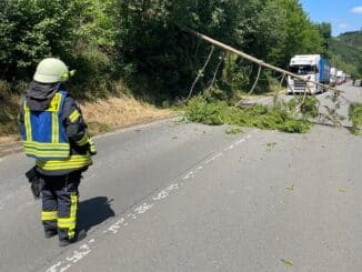 FW-EN: Fahrbahn durch Baum blockiert