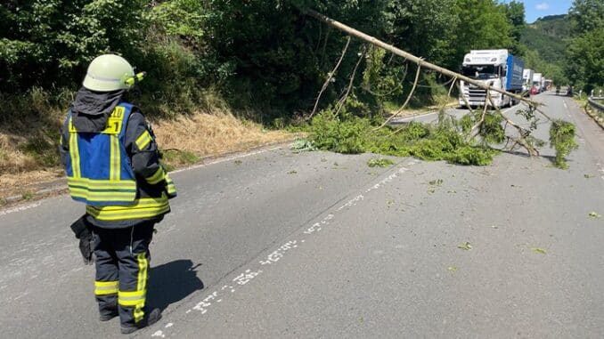 FW-EN: Fahrbahn durch Baum blockiert