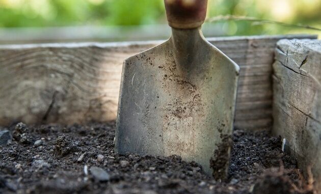 ++ Ökotipp: Weniger tun, mehr lassen – So gelingt Vielfalt im Garten | ...