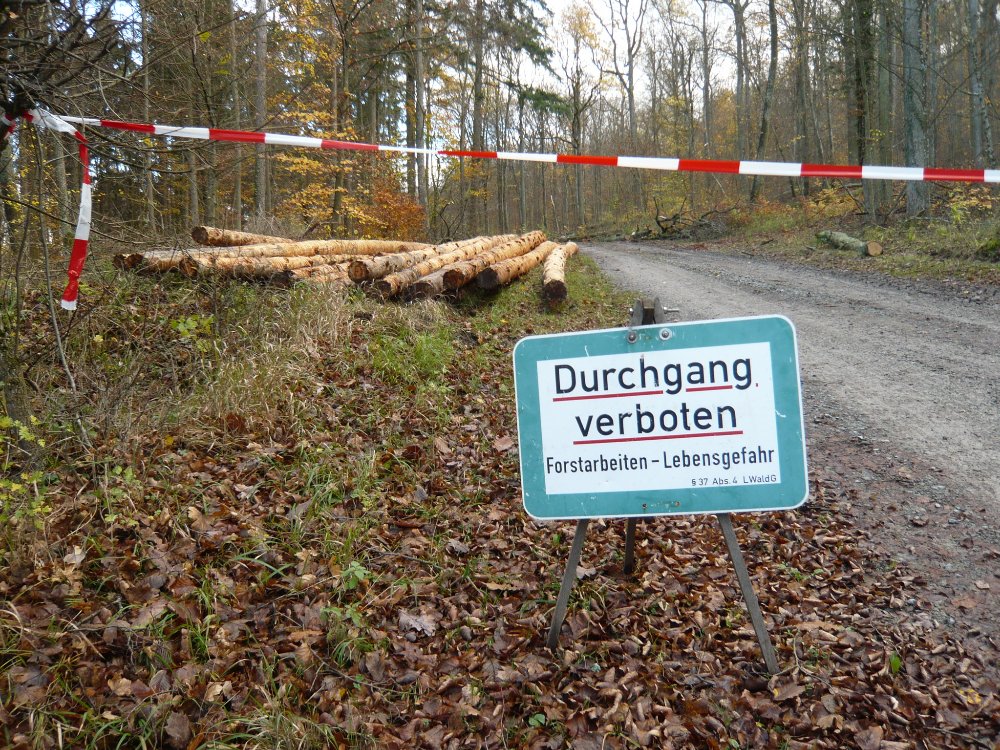 154946P Landratsamt - Laubholzeinschlag 14.10.2015 RayMedia.de