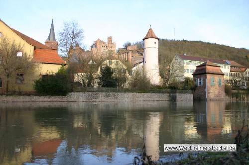 Hochwasser Wertheim 27-02-2010_91