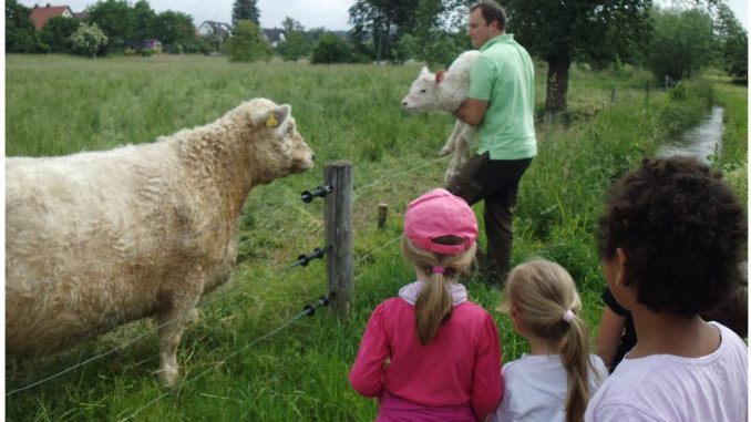 Tierarzt Bettingen Stadtverwaltung Wertheim 16.06.2016