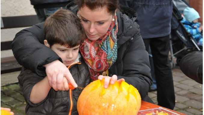 Kürbis Schneide Aktion Stadtverwaltung Wertheim 20.10.2016