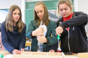Das Wertheimer Projekt „Lernwerkstatt Bauhandwerk“ wird im Februar auf Europas größter Bildungsmesse, der Didacta in Stuttgart, präsentiert. Foto: Gemeinschaftsschule Wertheim