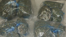 Tüten mit Marihuana