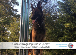 Gero