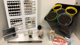 Sichergestelltes Rauschgift, Bargeld, Feinwaage, Schlagstock und Teile der Marihuanaaufzuchtanlage