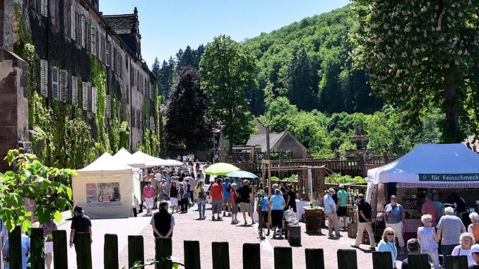Stadtverwaltung-Wertheim-Bronnbach-lockt-Kunst-und-Gartenliebhaber.JPG
