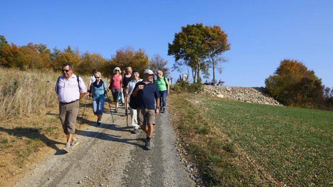 Stadtverwaltung-Wertheim-Wanderung-in-die-Wertheimer-Umgebung.jpg