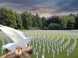 Peace Dove White Dove Cemetery