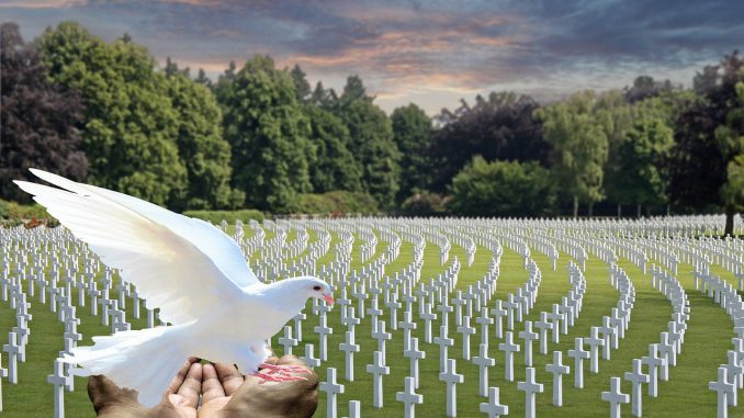 Peace Dove White Dove Cemetery 
