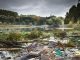 Plastic River Plastic Waste
