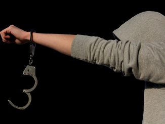 Protection Of Minors Criminal