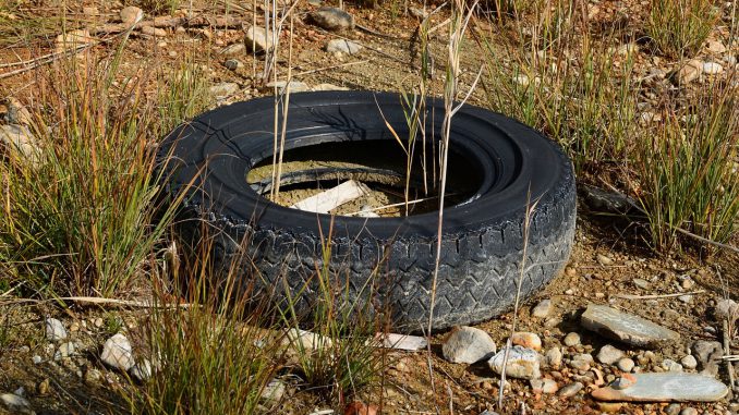 Altreifen Mature Pollution Garbage 