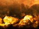 Apocalypse Disaster End Time