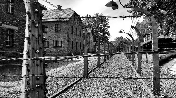 Auschwitz Museum Poland Camp 