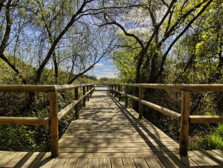 Do%C%Bana Natural Park Gateway Huelva