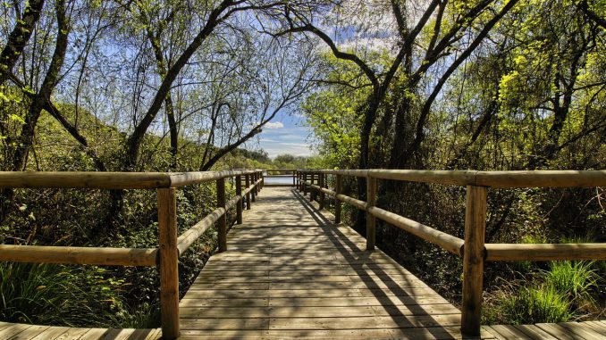 Do%C%Bana Natural Park Gateway Huelva 