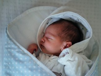 Newborn Baby Toddler Child Family
