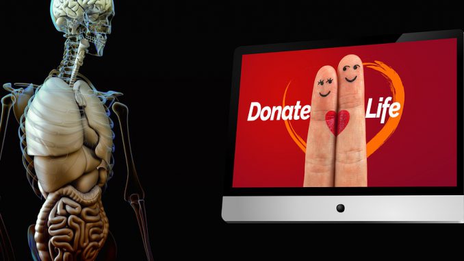 Organ Donation Heart Finger Live Organ Donation Heart Finger Live