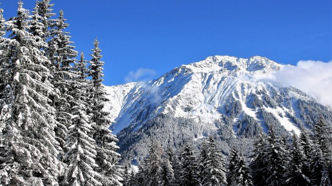 Sky Blue Snow Covered Trees 