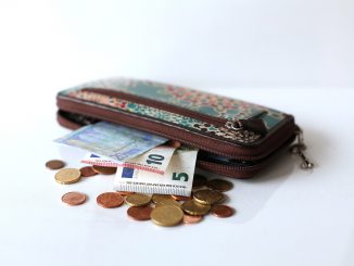 Wallet Money Euro Purse Bank Note