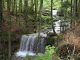 Bach Trees Water Landscape Nature