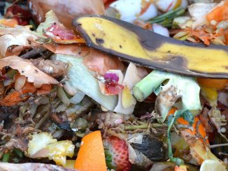 Compost Fruit And Vegetable Waste