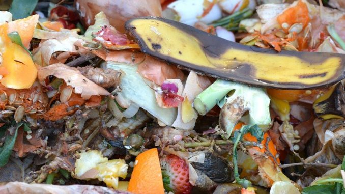 Compost Fruit And Vegetable Waste 